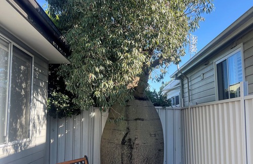 Mayfield Cottage | Boab Cottage