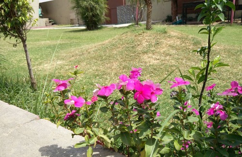 Amritsar Villa | Boathouse - Vacation Villa with a Punjabi Flavour