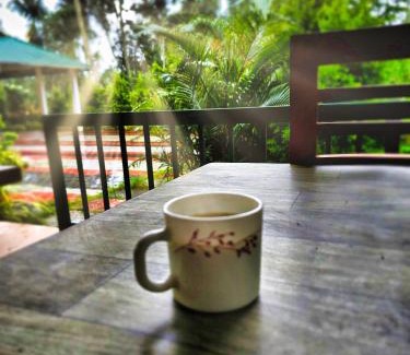 Sulthan Bathery Hotel | BOB Green House