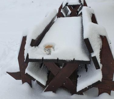 Bobrka Cabin | Bobrówka