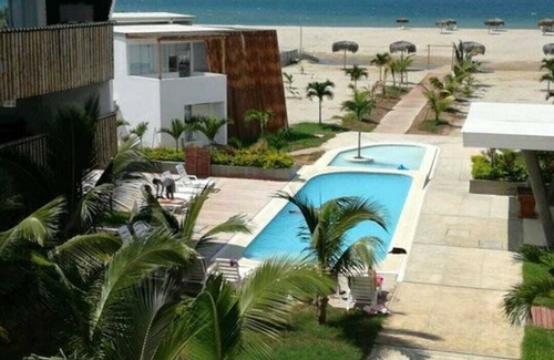 Bocapan Condo | Bocapan palm trees