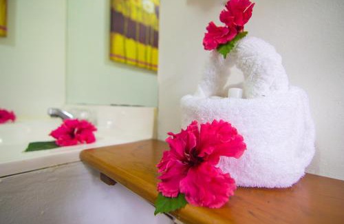 Hopkins Resort | Bocawina Rainforest Resort