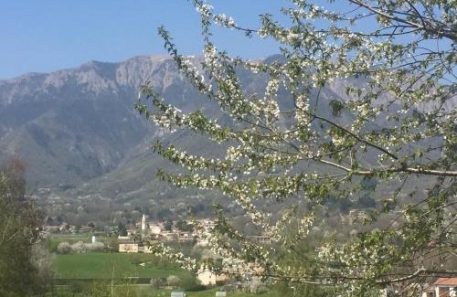 Paderno del Grappa Apartment | Boccaor