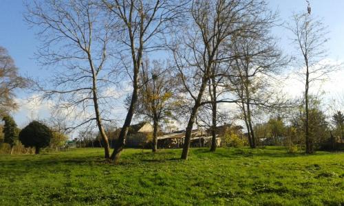 Zalaszanto Apartment | Bochmann Cottage
