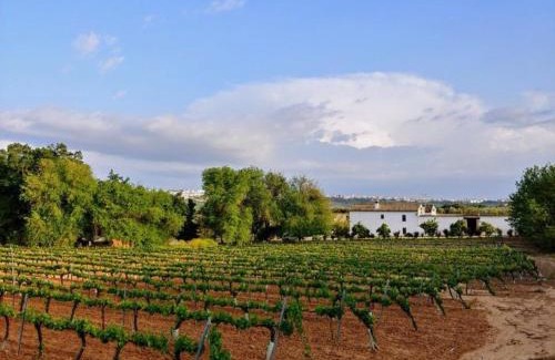 Montilla House | Bodega Boutique Finca Buytrón