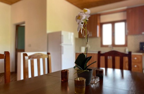 Lezhe Apartment | Boem Villa's