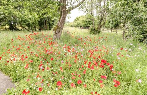 County Mayo House | Bohans Barn