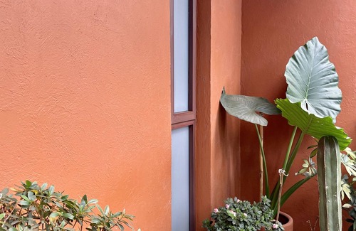 Zona Rosa Condo | Boho Apartment in Colonia Juarez CDMX
