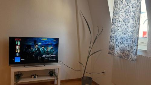 Delemont Apartment | Boho Bliss Apartments