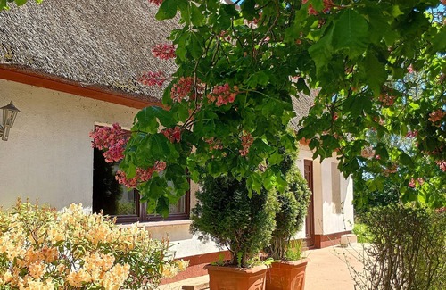 Kenz-Kustrow House | Boho Boutique-reethaus + Stand up Paddling + Kanu. Only for Adults + Barefoot