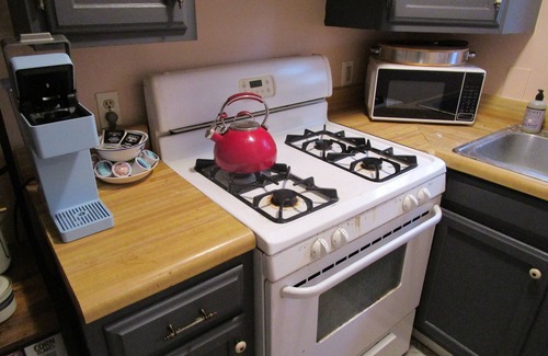 Bloomington Apartment | Boho-Chic Style: Furnished, Fireplace, Hardwood Floors, W/D, Calm, Quiet & Cool