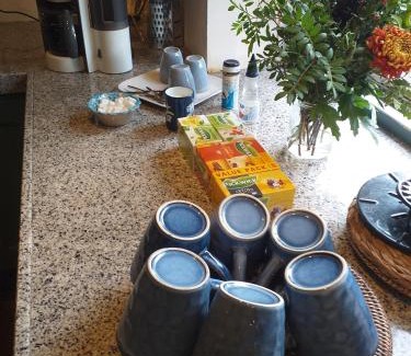 Portengen Villa | BoHo Experience Wellness, Jacuzzi, Sauna, BBQ, Garden, Sleeps 10