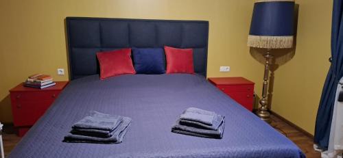 Siauliai City Center Apartment | Boho House