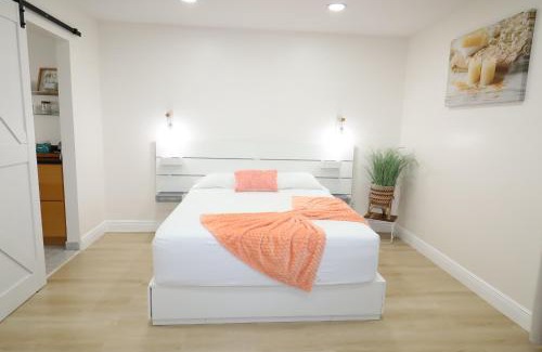 Greater Northdale House | Boho Villa Tampa with Private Pool & BBQ