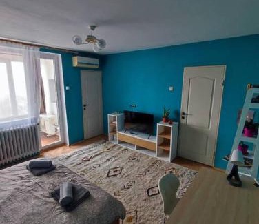 Timisoara Apartment | Boia's place - skyline Timisoara