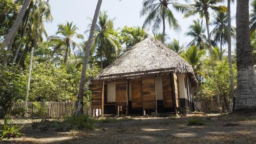 Tonala House | Bokané