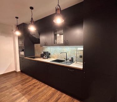 Boleslawiec Apartment | BoleslaviaApartments - Apartament Arte 2 - parking free, EV