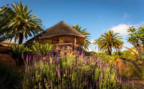 Polokwane Cabin | Bolivia Lodge