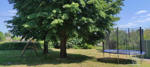 Calau Apartment | Bolschwitz 39