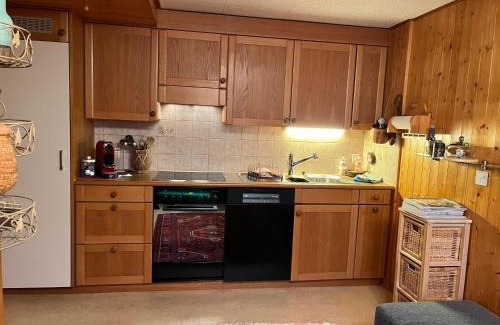 Eschenz Apartment | Bonis 2,5 Zimmer Ferienwohnung
