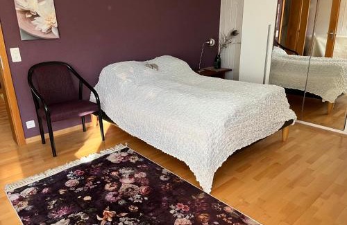 Eschenz Apartment | Bonis 2,5 Zimmer Ferienwohnung
