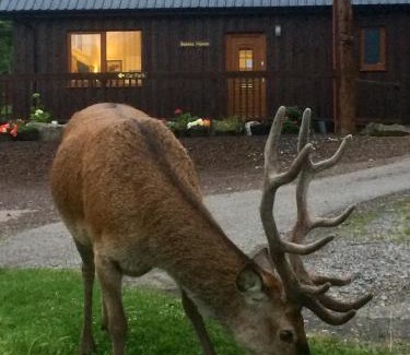 Lochinver Bed & Breakfast | Bonnie Haven