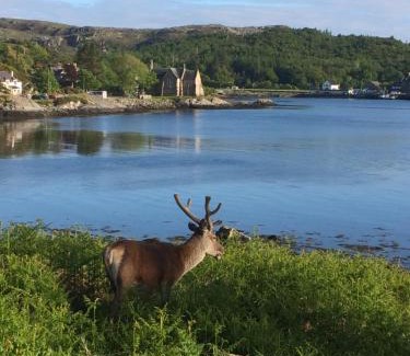 Lochinver Bed & Breakfast | Bonnie Haven