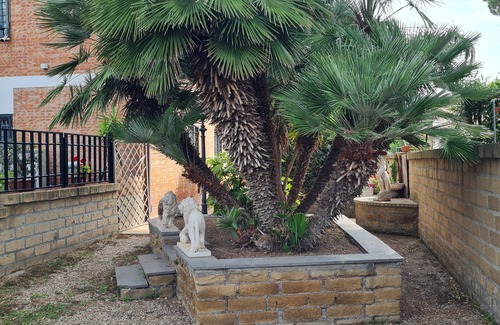 Lido di Tarquinia Apartment | Bonnie House