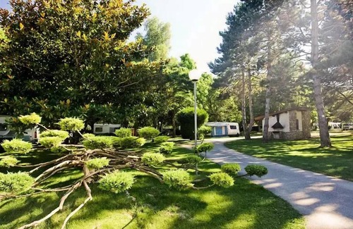 Vernioz House | Bontemps Campsite* - Chalet Comfort Pavilion PRM 3 rooms 5 people Air-conditioned