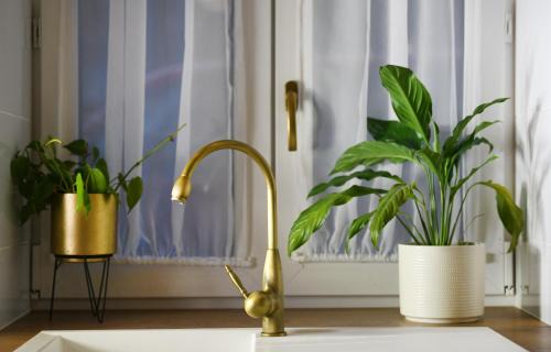 Kezmarok Apartment | Bonton Apartments