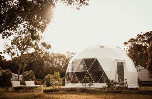 Augusta Other | Boogaloo Camp