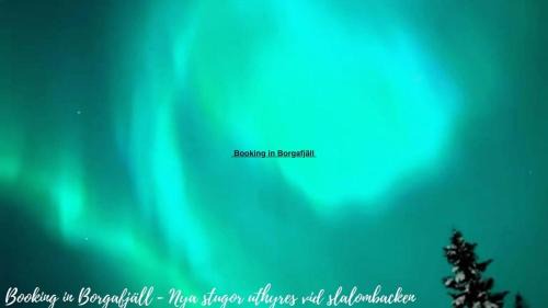 Borgafjall House | Book in Borgafjäll - New cabins for rent at the slalom slope