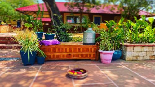 Surwaya House | Book Rooms & Villa- Bairagarh Living Farm Stay