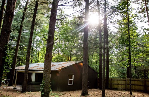 Carbon Hill Cabin | Book Your Getaway Now