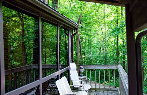 Carbon Hill Cabin | Book Your Getaway Now
