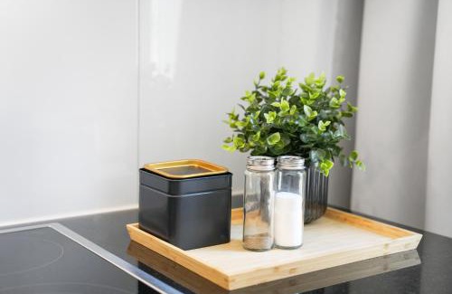 St. Gallen Apartment | book2stay modernes Apartment OLMA-Areal