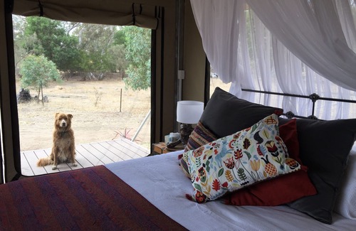 Flaxman Valley Bed & Breakfast | Boongarrie Luxury Tent