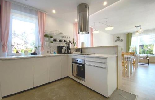 gmina Medyka Bed & Breakfast | Borek