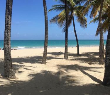 Isla Verde Hotel | Borinquen Beach Inn