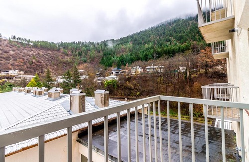 Akhali Ubani Apartment | Borjomi cozy home