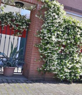 Peschiera Borromeo House | Borromeo Residenze Service s.a.s