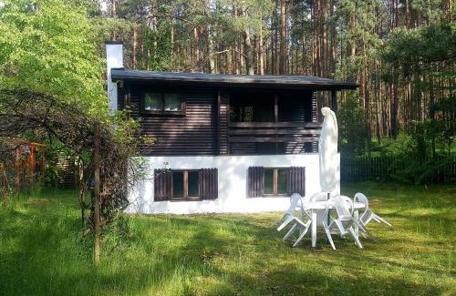 gmina Osiek Cabin | BORY TUCHOLSKIE SKÓRZENNO KOŁO OSIEKA