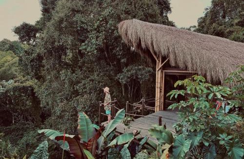 Alegrias House | BOSQUE SECRETO Ecolodge