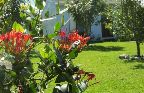 Jimenez Cabin | Bosques, Parques Y Playas Muy Cercanas