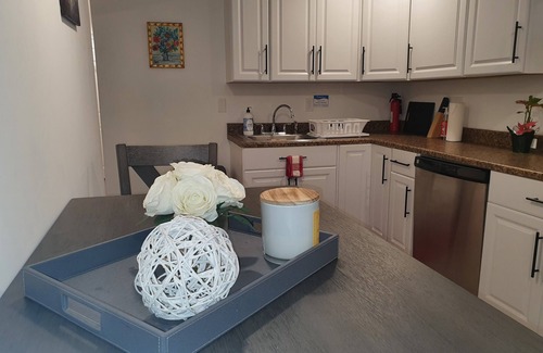 Mission Hill Apartment | Boston's Beautiful 2 bedroom in historical Highland Park/Fort Hill neighborhood