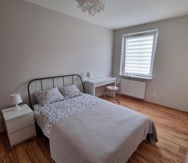 Lublin Apartment | Botanik Apartment