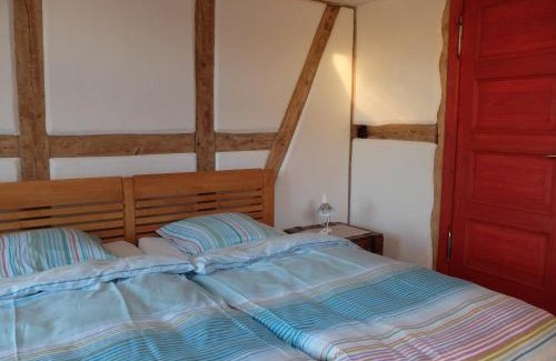 Strodehne Apartment | Botanische Botschaft