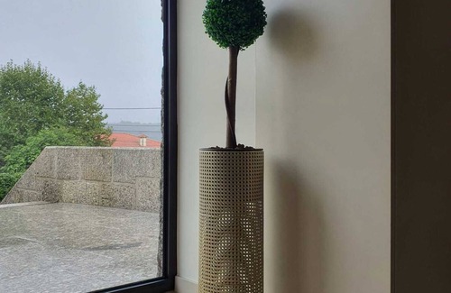 Soengas House | Botica House - T6