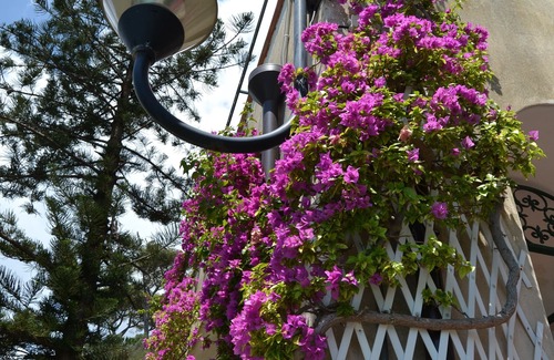 Erchie House | Bougainvillea house on the Amalfi coast