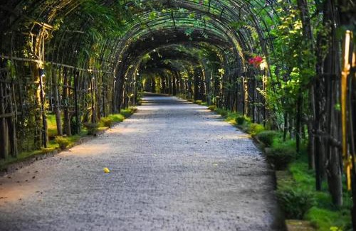 Guwahati Resort | Bougainvillea Retreat & Spa